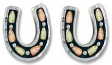 Sterling/ Black Hills Gold Horseshoe Earrings