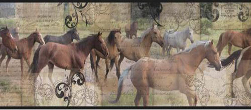 Wallpaper Border - Roaming Horses 