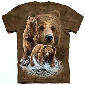 Find 10 Bears T- Shirt