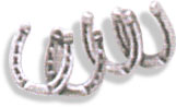 Sterling Silver Small Double Horseshoe Posts