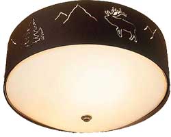 Ceiling Light