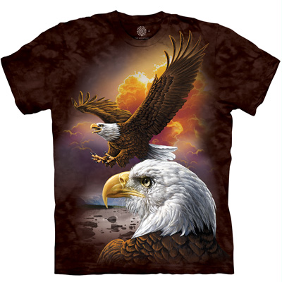 Eagles and Clouds T-Shirt