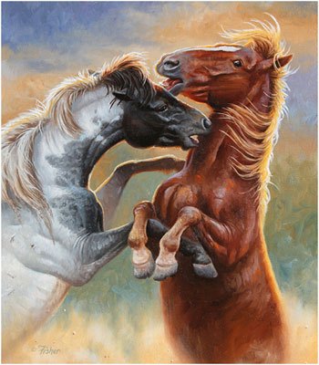 Stallion Horses Queen Blanket
