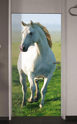 Wallpaper Mural - White Horse