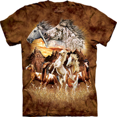 Find 15 Horses T- Shirt